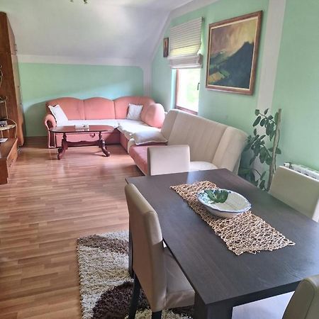 Apartman Sara Pale - Ski Centar Ravna Planina Екстер'єр фото