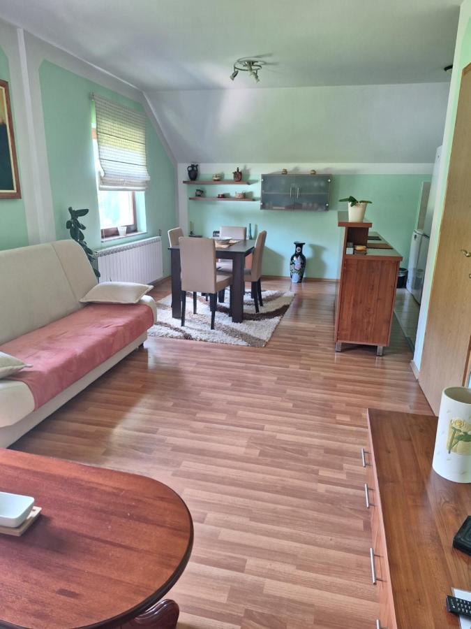 Apartman Sara Pale - Ski Centar Ravna Planina Екстер'єр фото