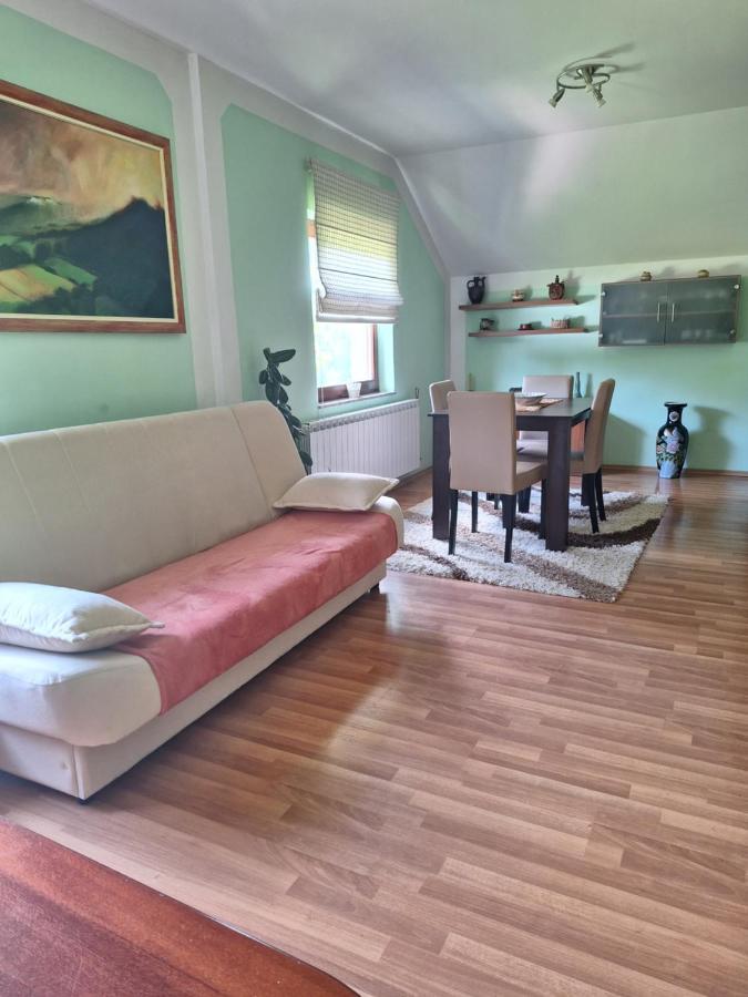 Apartman Sara Pale - Ski Centar Ravna Planina Екстер'єр фото