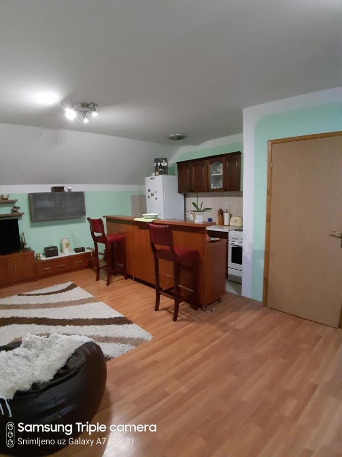 Apartman Sara Pale - Ski Centar Ravna Planina Екстер'єр фото