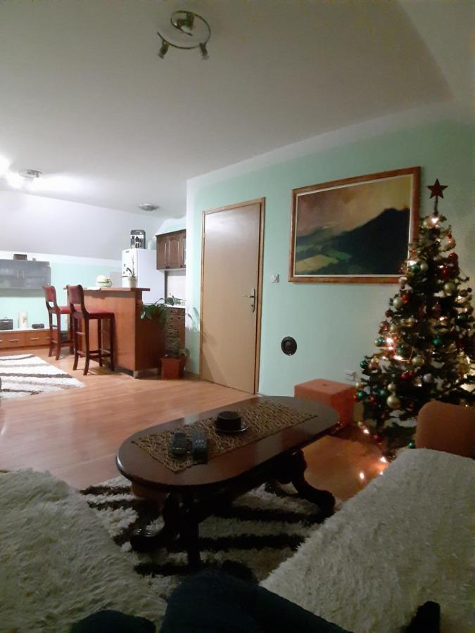 Apartman Sara Pale - Ski Centar Ravna Planina Екстер'єр фото